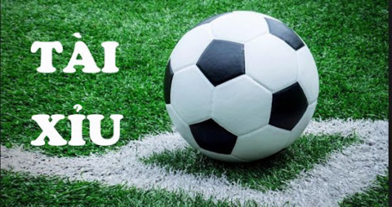 Cách đọc kèo bóng đá