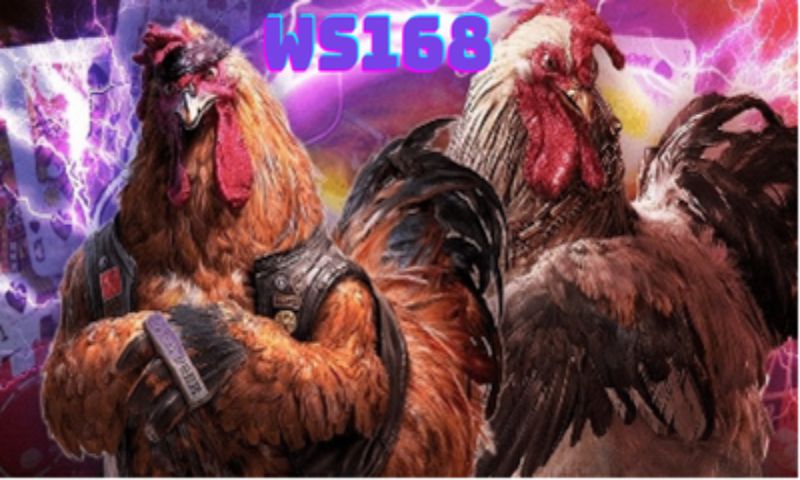 Đá Gà Ws168 SV388
